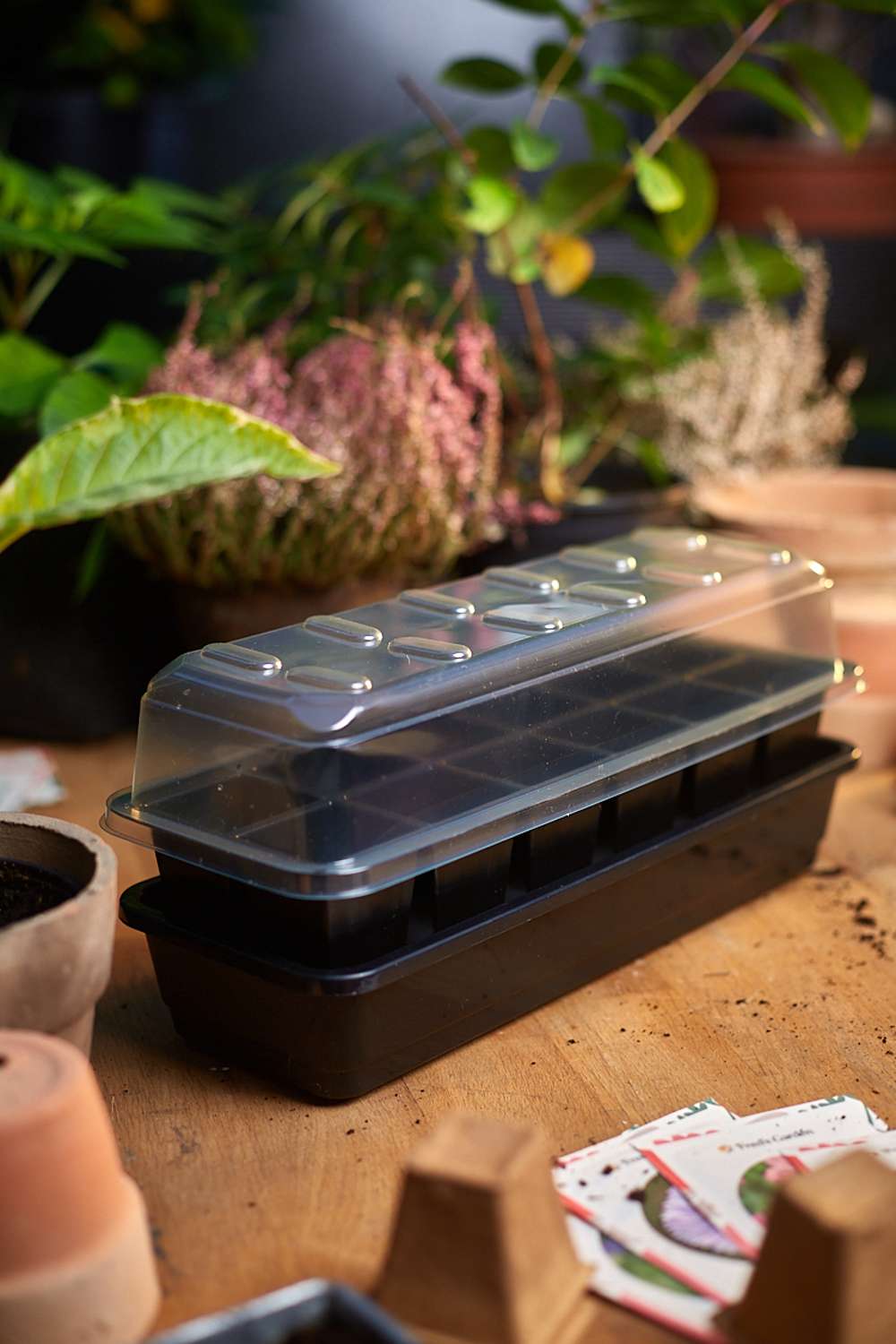 Mini drivhus med selvvanding m. 12 celler